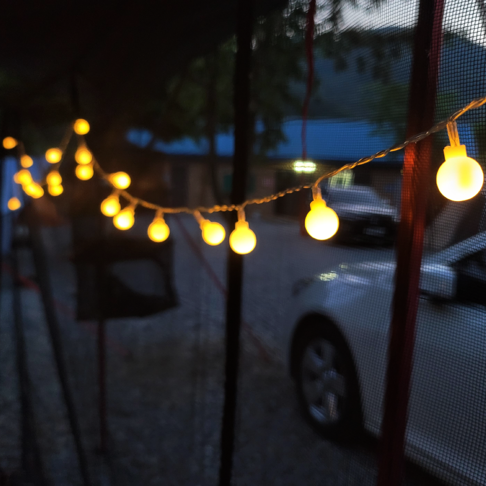 선세이브 LED 앵두전구 100구 검정선 단품