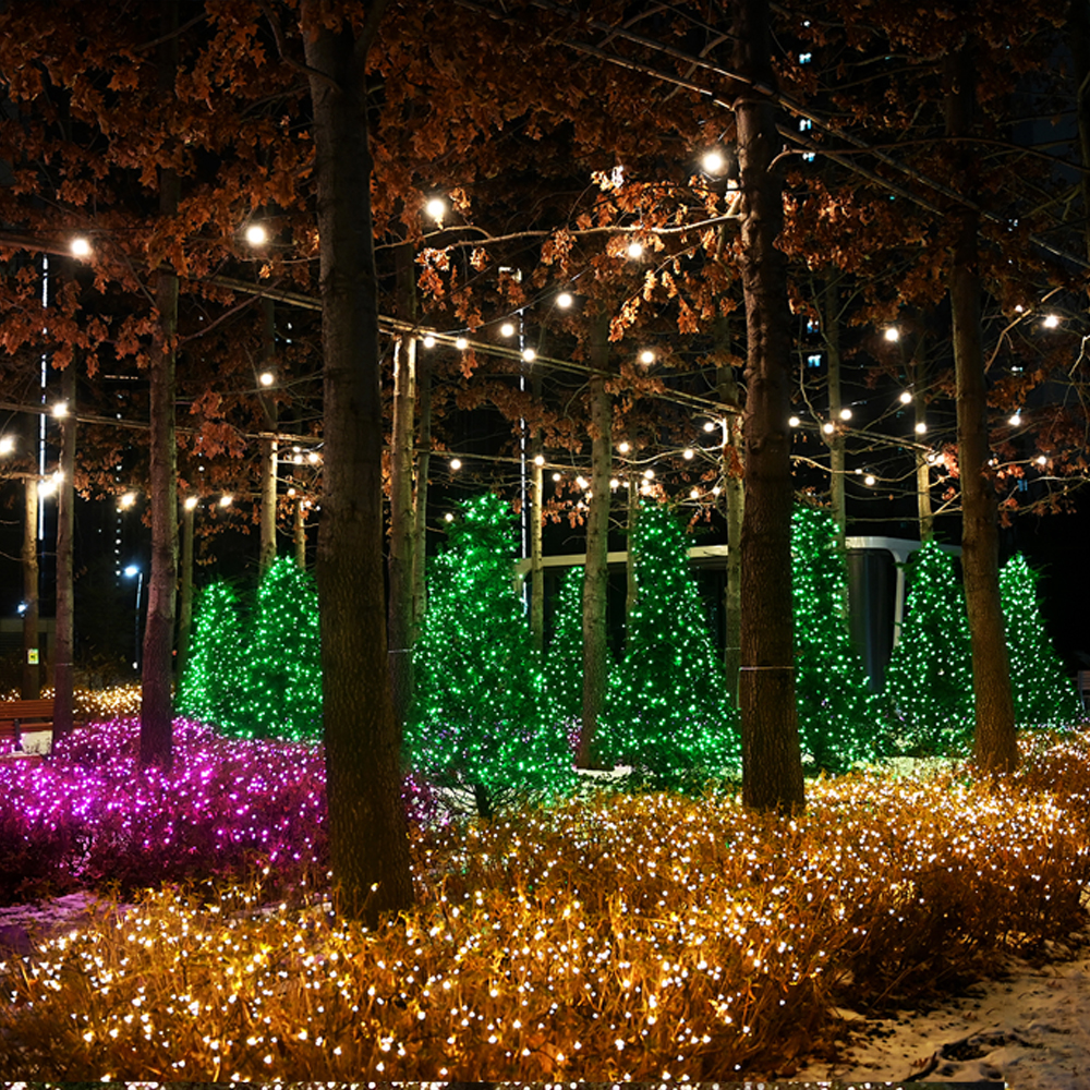 선세이브 LED 은하수 300구 전구 DC24V