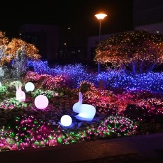 선세이브 LED 은하수 300구 전구 DC24V 세트